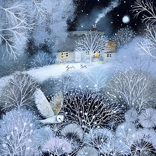 Museums & Galleries MG-MAHX894 Künstliche Wohltätigkeitsorganisationskarten Wintergarten von Lucy Grossmith – 8 Karten mit 1 Design – Verkauf zur Unterstützung von MacMillan Cancer Support von Museums & Galleries