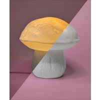 Pilzlampe Boletus Edulis von MushRoomDE
