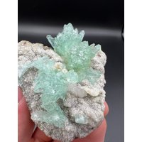 Apophyllit Blume Auf Chalcedon Matrix A1 von MusicCityMinerals