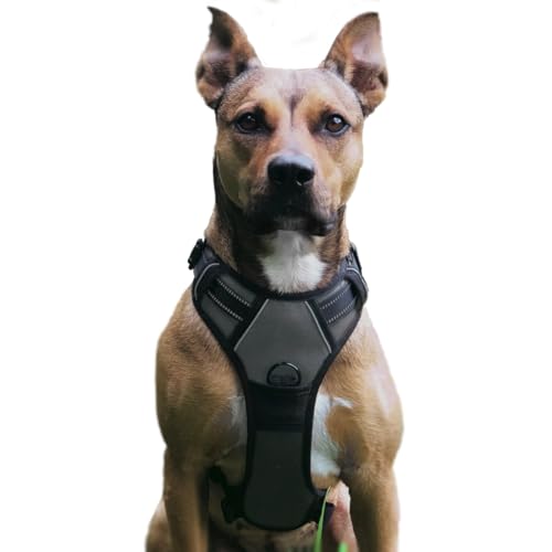 No Pull Hundegeschirr, Verstellbar Atmungsaktiv Reflektierend Weich Gepolstert Hunde Geschirr, Brustgeschirr für Hunde (Grau, S) von Musonic