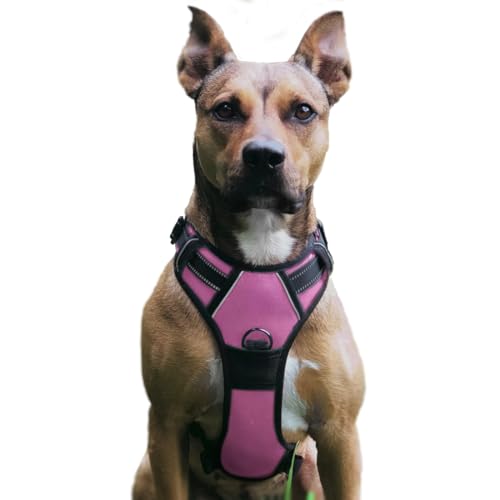 No Pull Hundegeschirr, Verstellbar Atmungsaktiv Reflektierend Weich Gepolstert Hunde Geschirr, Brustgeschirr für Hunde (Rosa, XL) von Musonic