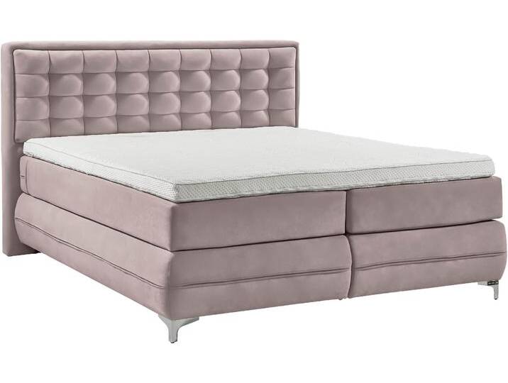 Boxspringbett MUSTERRING Dubai , lila (d 531 flieder), B:197cm L:214cm, Komplettbetten, Boxspringbett, Winkelfuß in Chrom, 3 Härtegrade, Kopfteil in Kassettensteppung von Musterring