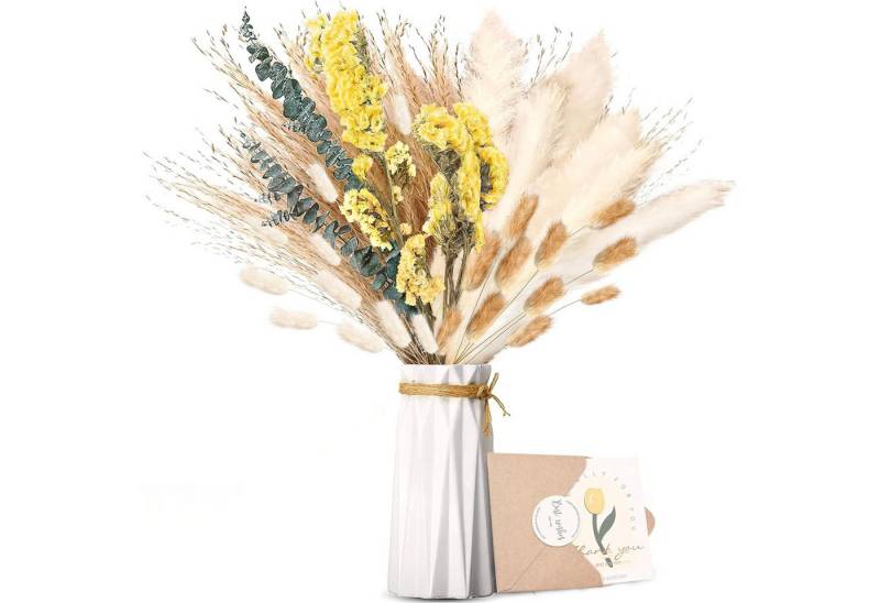 Trockenblume 36 Stück Pampasgras Getrocknet Natürliche Trockenblumen Deko Flowers Hasenschwanzgras,Pampas Grass,Schilfrohr,Eucalyptus,Goldrute, Mutig, DIY Trockene Blüten Strauß for Boho Wohnzimmer-Schlafzimmer-und Vasen Trockenblume 36 Stück Pampasgras Getrocknet Natürliche Trockenblumen Deko Flowers Hasenschwanzgras,Pampas Grass,Schilfrohr,Eucalyptus,Goldrute, Mutig, DIY Trockene Blüten Strauß for Boho Wohnzimmer-Schlafzimmer-und Vasen von Mutig