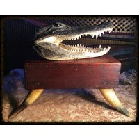 Handgefertigtes Regal Oder Hocker Aus Rinderhorn. Antike Präparate von MuttonButtOddities