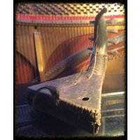 Instrument, Dekorative Handarbeit. Mit Echtem Tierhorn, Fell Und Haaren von MuttonButtOddities