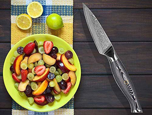 Muxel Schälmesser Damststahl, das Koch- und Küchenmesser Obstmesser Gemüsemesser V10 von Muxel