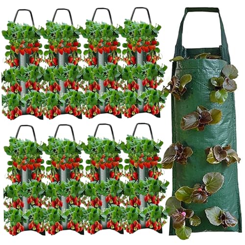 Hängende Erdbeer -Pflanzer 8 Löcher auf den Kopf nach unten Tomaten Pflanzerbeutel 9pcs Hängende Pflanze Wachsen Beutel mit Griff PE -Stoff für Kräuter Gemüse Grün grün Hängende Erdbeer -Pflanzer 8 Löcher auf den Kopf nach unten Tomaten Pflanzerbeutel 9pcs Hängende Pflanze Wachsen Beutel mit Griff PE -Stoff für Kräuter Gemüse Grün grün von Muzrunq