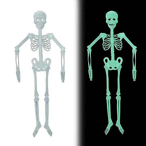 Im Dunkeln leuchtendes Skelett, 35, 43 Zoll, Halloween-Skelett, lebensgroß, hängende leuchtende Skelette, Ganzkörperskelette für Halloween-Dekorationen in Spukhäusern. von Muzrunq
