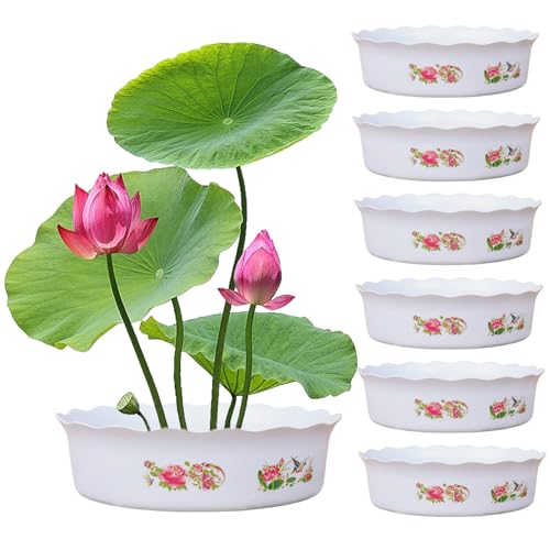 Muzrunq Lotus Bowl Pflanzer 6PCS Lotus Bowl Hydroponic Pflanzer ohne Abfluss rund dekorative Schüssel Pflanzer für Wasserlilie Narzisse Pflanzen 7x2,3 von Muzrunq
