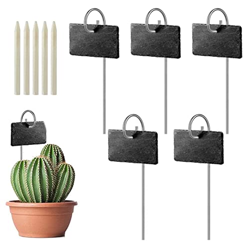 Slate Plant Labels 5pcs Gartenmarker -Etikettenschilder mit Einsätzen 4x2, 7 Zoll..Schwarz Rechteck Formetiketten für Pflanzen Gemüse Gewächshaus von Muzrunq