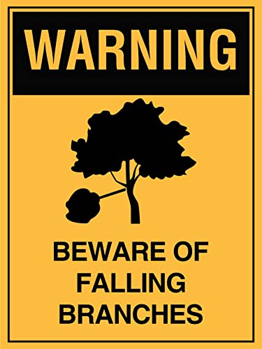 Metall-Blechschild mit Aufschrift "Warning Beware of Falling Branches", 20,3 x 30,5 cm von Muzuputs