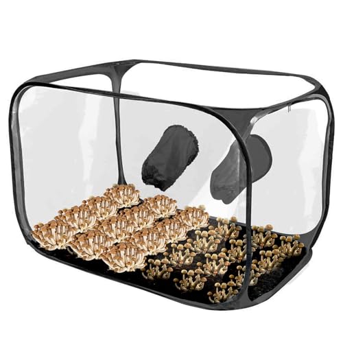 91X59X58 cm Pilz-Zuchtbox, Mushroom Still Air Box, Pilz-Still-Luftbox, Faltbare Wachstumsbehälter Pilzzuchtbeutel, Transparenter Pflanzbeutel Pilzzelt - Pop-up-Design, Growzelt, Pilzzuchtbehälter von Mwqpgyh