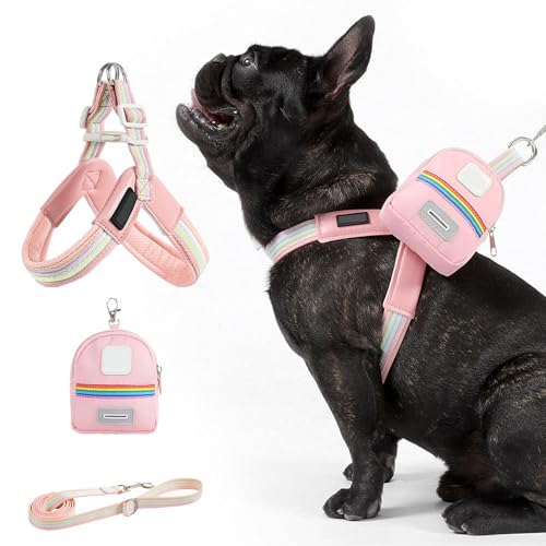 Mwqpgyh Hundegeschirr Mit Leine | Verstellbares Geschirr Für Kleine Hunde | Ergonomischer Sitz Sicherheit Mit Tasche Für Training Spaziergänge Aktivitäten Mwqpgyh Hundegeschirr Mit Leine | Verstellbares Geschirr Für Kleine Hunde | Ergonomischer Sitz Sicherheit Mit Tasche Für Training Spaziergänge Aktivitäten von Mwqpgyh