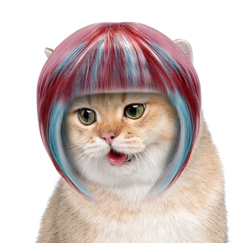 Mwqpgyh Pet Perücke Für Kleine Hunde, Bunte Tier Perücke Für Kostüm, Halloween Weihnachten rutschfeste Kopfbedeckung Für Parade Party Fotografie Familienfeier Bühnenauftritt von Mwqpgyh