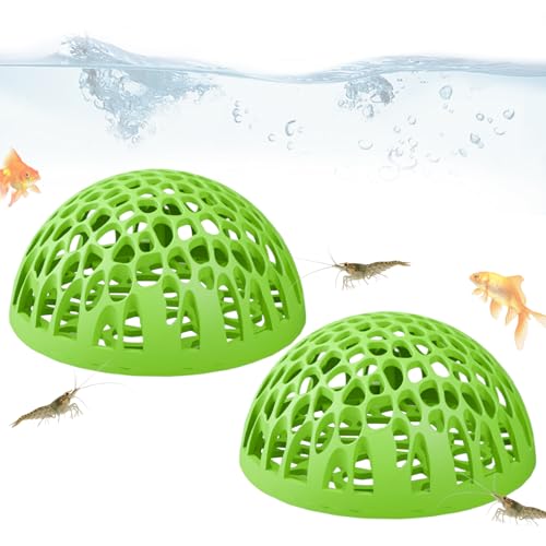 Mxshc Betta Habitat für, Kuppelenversteck, für Tropische Fische, Schule, Zuhause, Büro, Schreibtisch, Aquarium-Enthusiasten von Mxshc