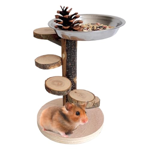 Mxshc Hamsterrampe | Nagerleiter aus Holz mit Spielplatz für Käfigausstattung | Klettertoy Zur Haustierbeschäftigung Mit Edelstahl-Futternapf Für Zahnpflege, Spielen & Füttern Mxshc Hamsterrampe | Nagerleiter aus Holz mit Spielplatz für Käfigausstattung | Klettertoy Zur Haustierbeschäftigung Mit Edelstahl-Futternapf Für Zahnpflege, Spielen & Füttern von Mxshc