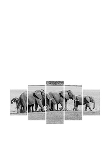 My Art Gallery Wandbild 5er Set My Art Gallery Wandbild 5er Set von My Art Gallery