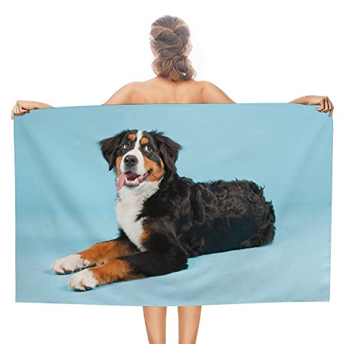 My Daily Mikrofaser-Badetuch, 80 x 130 cm, Berner Sennen Hund, blauer Hintergrund, saugfähig, schnell trocknend, Strandtücher für Schwimmen, Dusche, Sport, Reisen von My Daily