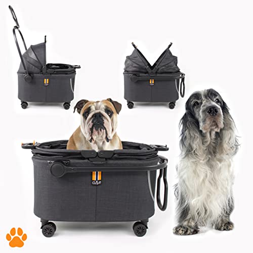 MY DUQUE – Coco II Faltbare Hundebox für kleine Hunde und Haustiere bis 8 kg | Transportbox Katze mit Rollrädern | Kratz- und reißfest aus Polyester und Mesh | Leichtgewichtiger Hundewagen MY DUQUE – Coco II Faltbare Hundebox für kleine Hunde und Haustiere bis 8 kg | Transportbox Katze mit Rollrädern | Kratz- und reißfest aus Polyester und Mesh | Leichtgewichtiger Hundewagen von My Duque