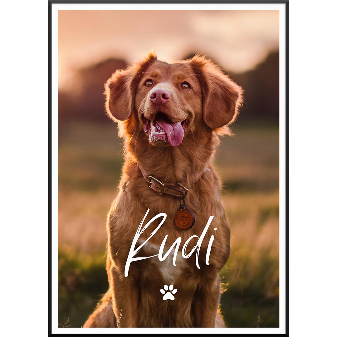 Fotoposter My Dog, 30 x 40 cm von My Fam Poster I Individuelle Familienposter