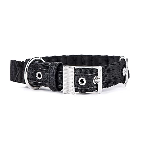 Myfamily Synthetisches Halsband Made in Italy West Point Kollektion Myfamily Synthetisches Halsband Made in Italy West Point Kollektion von My Family
