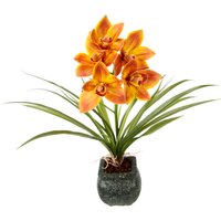 my home Kunstblume "Orchidee", Mit Blätter im Topf aus Zement Künstliche Blume Cymbidium-Orchidee my home Kunstblume "Orchidee", Mit Blätter im Topf aus Zement Künstliche Blume Cymbidium-Orchidee von My Home
