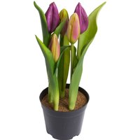 my home Kunstblume "Tulpenpflanze mit 5 Knospen" von My Home