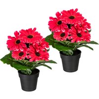 my home Kunstpflanze "Elaine" im Topf, 2er Set my home Kunstpflanze "Elaine" im Topf, 2er Set von My Home