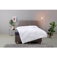 my home Microfaserbettdecke "Fantasy, Bettdecke 135x200 cm, 155x220 cm, 200x200 cm, 200x220 cm" leicht Füllung aus recycelten Polyester 1 Stk. tlg. Bettdecken, in 3 Bezugsqualitäten für Sommer, Winter von My Home