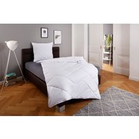 my home Microfaserbettdecke "Fantasy, Bettdecke 135x200 cm, 155x220 cm, 200x200 cm, 200x220 cm" warm Füllung aus recycelten Polyester 1 Stk. tlg. Bettdecken, in 3 Bezugsqualitäten für Sommer, Winter von My Home