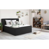 INOSIGN Polsterbett "Dalina", geradliniges Kopfteil, in 5 Breiten, auch in 220cm Länge von Inosign