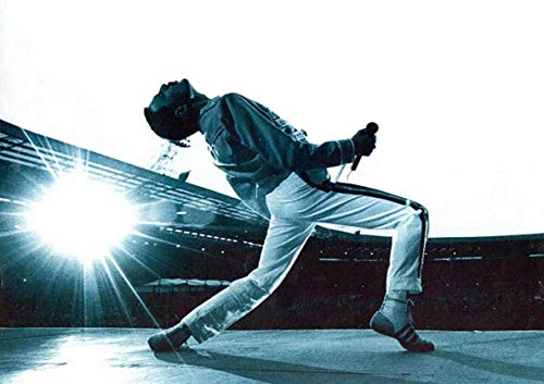 My Little Poster Post Sänger Freddy Mercury Queen-Legende Wall Art 02 My Little Poster Post Sänger Freddy Mercury Queen-Legende Wall Art 02 von My Little Poster