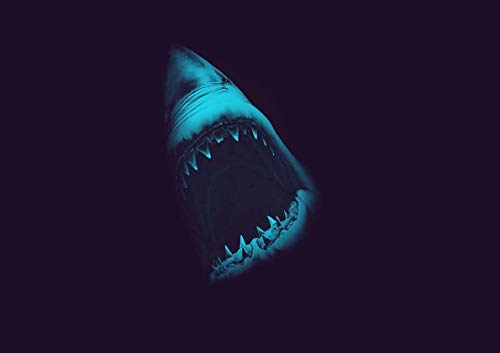 White Shark Blue Design Wall Art Poster Poster White Shark Blue Design Wall Art Poster Poster von My Little Poster