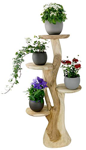 My-goodbuy24 Blumenständer Blumentreppe Blumenpodest Blumenhocker Pflanzen Blumen Deko Treppe Holz Massivholz Suar mit 4 Ablagen von My-goodbuy24