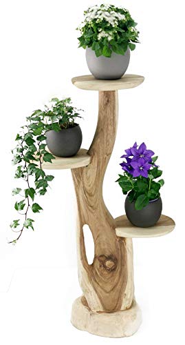 My-goodbuy24 Blumenständer Blumentreppe Blumenpodest Blumenhocker Pflanzen Blumen Treppe Holz Massivholz Suar mit 3 Ablagen von My-goodbuy24