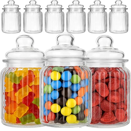 My-goodbuy24 Luftdichte Vorratsdosen 24er Set mit deckel Bonbonglas aus Glas Vorratsglas Bonboniere Vorratsbehäter Aufbewahrung 300ml - 13cm x 8cm x 8cm von My-goodbuy24