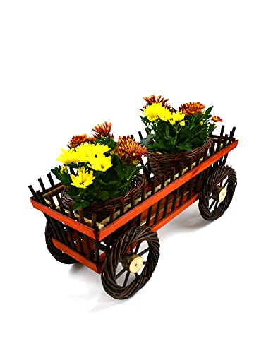 MyBer® Blumenwagen Blumenkasten Gartendeko Pflanzenwagen aus Weide mit 4 Rädern und 2 Töpfen braun K3-556 von MyBer