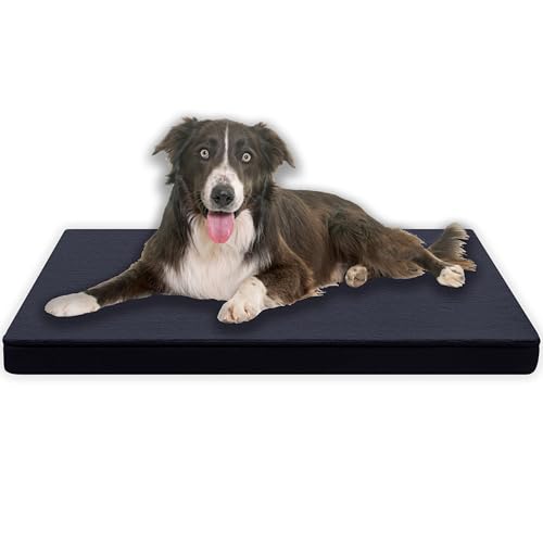 MyBestBuddy Hundematte Premium mit Vollschaum-Kern grau 120x80 cm XXL, Hundekissen mit flauschigem Stoffbezug - Öko-Tex 100-40°C waschbar - Hundebett für sehr große Hunde ca. 3 cm dick, 120 x 80 cm von MyBestBuddy