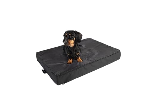 MyBestBuddy Hundekissen Premium orthopädisch mit 8 cm Vollschaum-Kern grau 70x50 cm M, Hundematte mit Stoffbezug, 40°C waschbar, allergikerfreundlich - Hundebett für kleine Hunde, 70 x 50 cm von MyBestBuddy