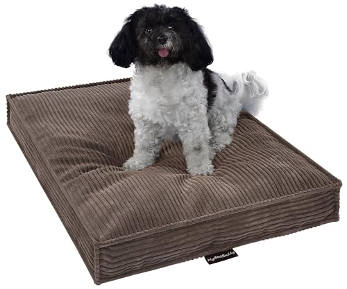MyBestBuddy Hundekissen Visco braun 70x50 cm M mit POSO-Cord Stoff mit Viscoseschaum und Komfortschaum-Flocken, 40°C waschbar - Hundebett/Haustierbett für kleine Hunde oder Katzen, 70 x 50 cm MyBestBuddy Hundekissen Visco braun 70x50 cm M mit POSO-Cord Stoff mit Viscoseschaum und Komfortschaum-Flocken, 40°C waschbar - Hundebett/Haustierbett für kleine Hunde oder Katzen, 70 x 50 cm von MyBestBuddy