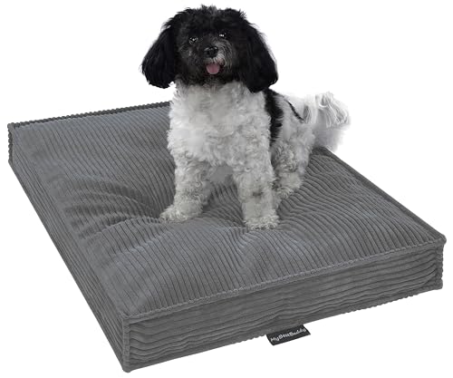 MyBestBuddy Hundekissen Visco grau 60x40 cm S mit POSO-Cord Stoff mit Viscoseschaum und Komfortschaum-Flocken, 40°C waschbar - Hundebett/Haustierbett für kleine Hunde oder Katzen, 60 x 40 cm MyBestBuddy Hundekissen Visco grau 60x40 cm S mit POSO-Cord Stoff mit Viscoseschaum und Komfortschaum-Flocken, 40°C waschbar - Hundebett/Haustierbett für kleine Hunde oder Katzen, 60 x 40 cm von MyBestBuddy