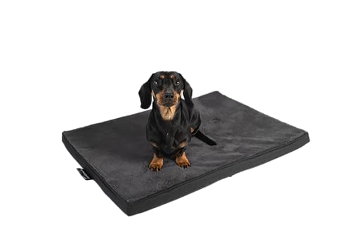 MyBestBuddy Hundekissen Premium orthopädisch mit 3 cm Vollschaum-Kern grau 70x50 cm M, Hundematte mit Stoffbezug, 40°C waschbar, allergikerfreundlich - Hundebett für kleine Hunde, 70 x 50 cm von MyBestBuddy