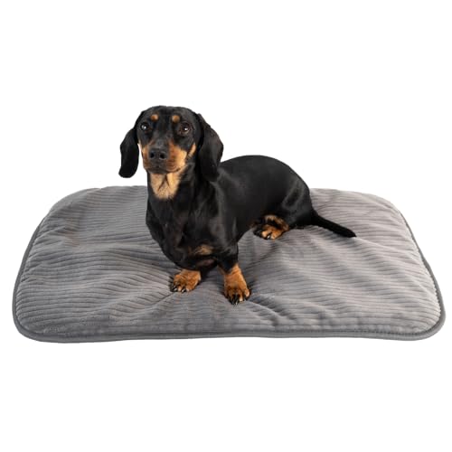 MyBestBuddy Hundematte grau Basic 70x45 cm M mit weichem Stoff extra für Haustiere - 40°C waschbar, allergikerfreundlich (100% Polyester) - Hundekissen BZW. Hundebett für mittlere Hunde, 70 x 45 cm von MyBestBuddy