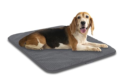 MyBestBuddy Hundematte grau Basic 90x70 cm L mit weichem Stoff extra für Haustiere - 40°C waschbar, allergikerfreundlich (100% Polyester) - Hundekissen BZW. Hundebett für große Hunde, 90 x 70 cm von MyBestBuddy