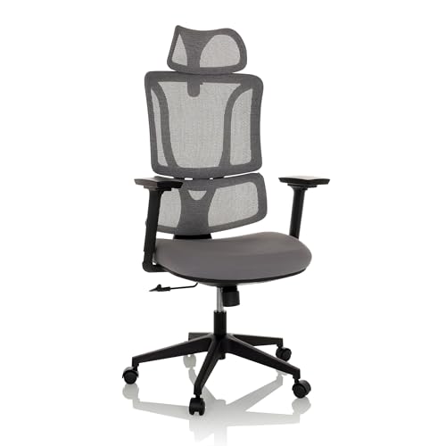 MyBuero Drehstuhl ergonomisch ERGOMY Bürostuhl mit Verstellbarer Lordosenstütze, Kopfstütze, Armlehnen, Netz-Rückenlehne, Stoff Grau von MyBuero