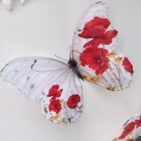 Rote Mohnblume Schmetterlings-Wand-Kunst 3D Entfernbares Hauptdekor von MyButterflyLove