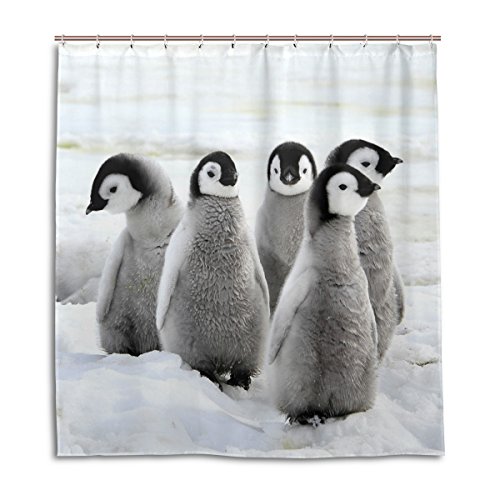 MyDaily Duschvorhang, Motiv: niedliche Pinguine, 183 x 183 cm, schimmelresistent und wasserdicht, Polyester, Dekoration, Badezimmer-Vorhang von MyDaily