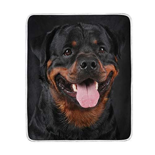 MyDaily Rottweiler Hundedecke, Polyester, Mikrofaser, leicht, warm, für Sofa, Couch oder Bett, 125 x 150 cm von MyDaily