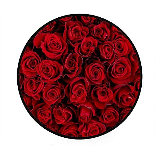 MyDaily Runde Teppich mit roten Rosen und Blumenmuster, leicht, für Wohnzimmer, Schlafzimmer, rund, 92 cm Durchmesser von MyDaily