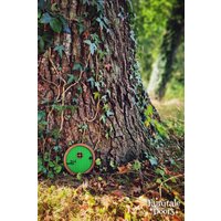-Feentürchen "Otis' in Dunkelgrün | Grüne Elfentür Für Baum Runde Feentür Feengarten Märchentür Halbling Tür -Feentürchen "Otis' in Dunkelgrün | Grüne Elfentür Für Baum Runde Feentür Feengarten Märchentür Halbling Tür von MyFairytaleDoors